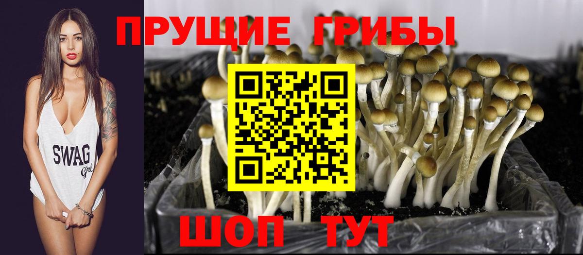 Галлюциногенные грибы мицелий  Вход с VPN  Псилоцибиновые грибы MAGIC MUSHROOMS  Боровичи 