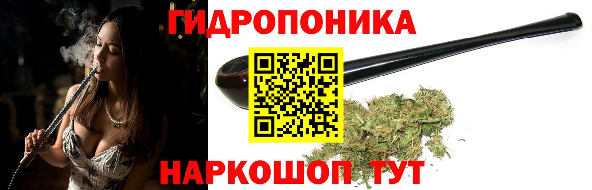 Канабис сатива Боровичи